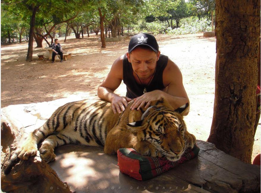 THAILANDE LE TEMPLE DES TIGRES (17).JPG
